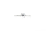 White Gold Round Lab Grown Diamond Engagement Ring with Hidden Halo